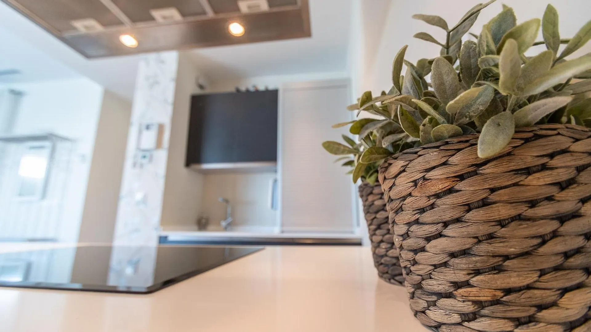 Phoenix Luxury Loft Cadiz Apartment